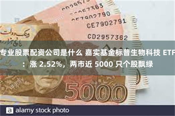 专业股票配资公司是什么 嘉实基金标普生物科技 ETF：涨 2.52%，两市近 5000 只个股飘绿