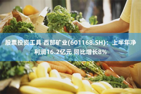 股票投资工具 西部矿业(601168.SH)：上半年净利润16.2亿元 同比增长8%