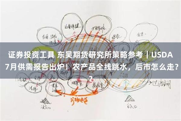 证券投资工具 东吴期货研究所策略参考｜USDA 7月供需报告出炉！农产品全线跳水，后市怎么走？