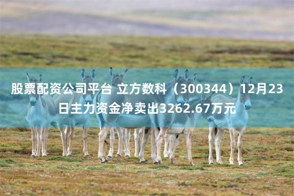 股票配资公司平台 立方数科（300344）12月23日主力资金净卖出3262.67万元