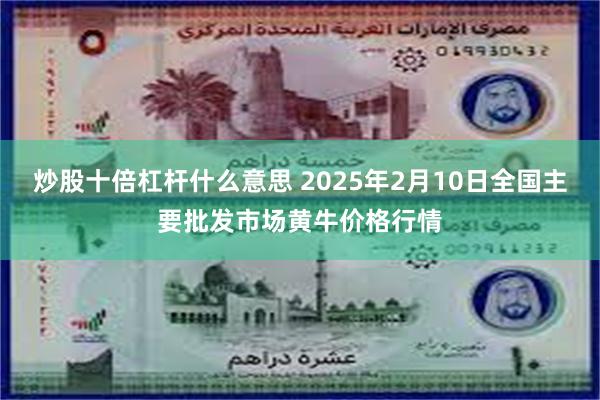 炒股十倍杠杆什么意思 2025年2月10日全国主要批发市场黄牛价格行情